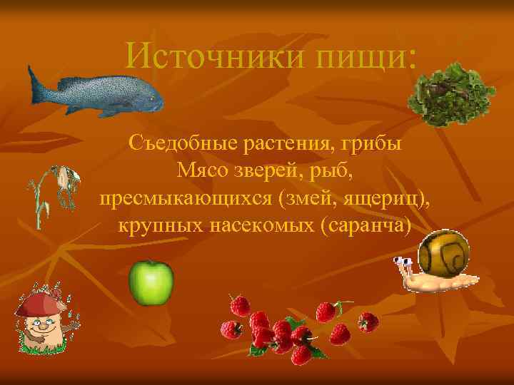 Источники пищи: Съедобные растения, грибы Мясо зверей, рыб, пресмыкающихся (змей, ящериц), крупных насекомых (саранча)