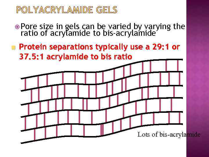 POLYACRYLAMIDE GELS Pore size in gels can be varied by varying the ratio of