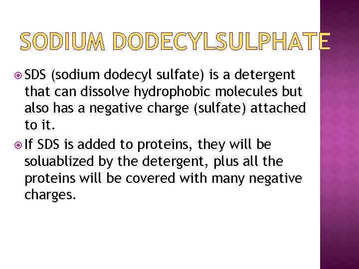 SODIUM DODECYLSULPHATE SDS (sodium dodecyl sulfate) is a detergent that can dissolve hydrophobic molecules
