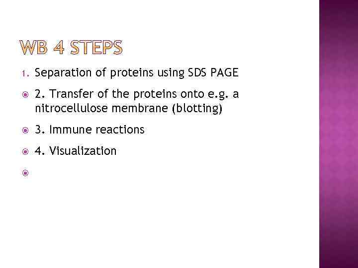 1. Separation of proteins using SDS PAGE 2. Transfer of the proteins onto e.