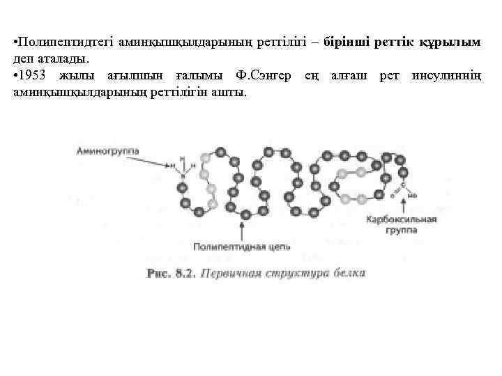  • Полипептидтегі аминқышқылдарының реттілігі – бірінші реттік құрылым деп аталады. • 1953 жылы