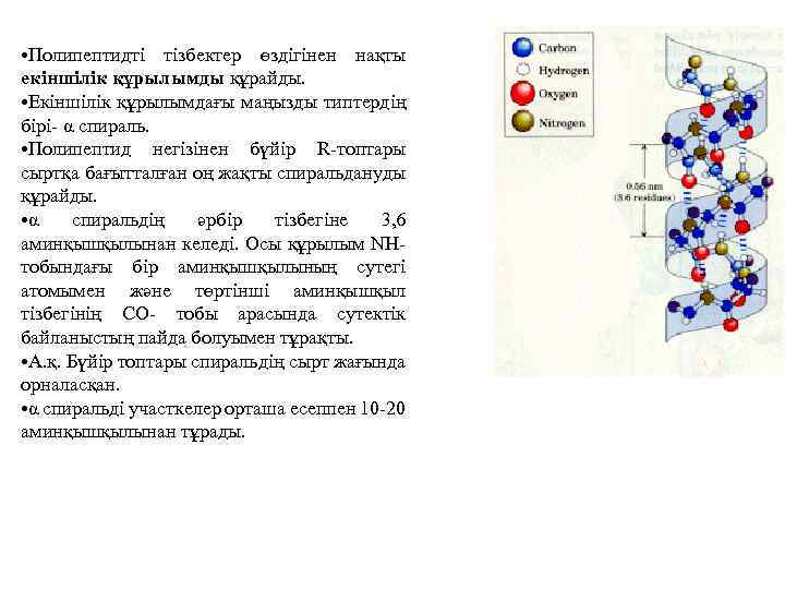  • Полипептидті тізбектер өздігінен нақты екіншілік құрылымды құрайды. • Екіншілік құрылымдағы маңызды типтердің