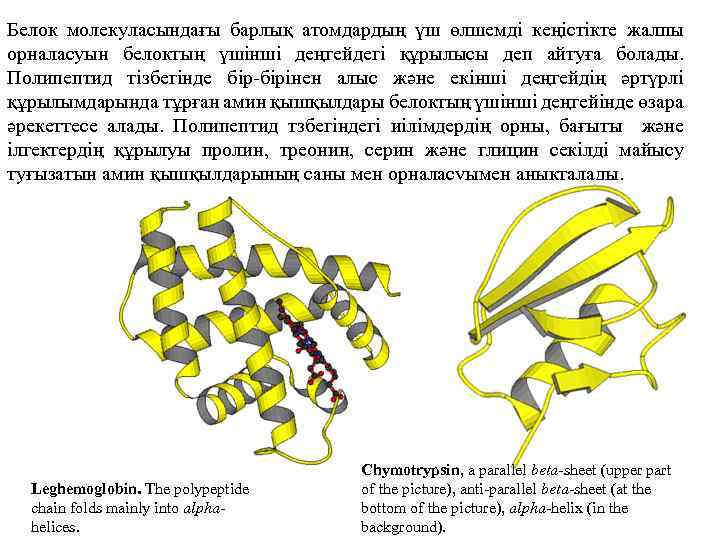 Белок молекуласындағы барлық атомдардың үш өлшемді кеңістікте жалпы орналасуын белоктың үшінші деңгейдегі құрылысы деп