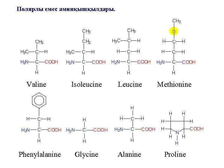 Полярлы емес аминқышқылдары. Valine Phenylalanine Isoleucine Leucine Methionine Glycine Alanine Proline 