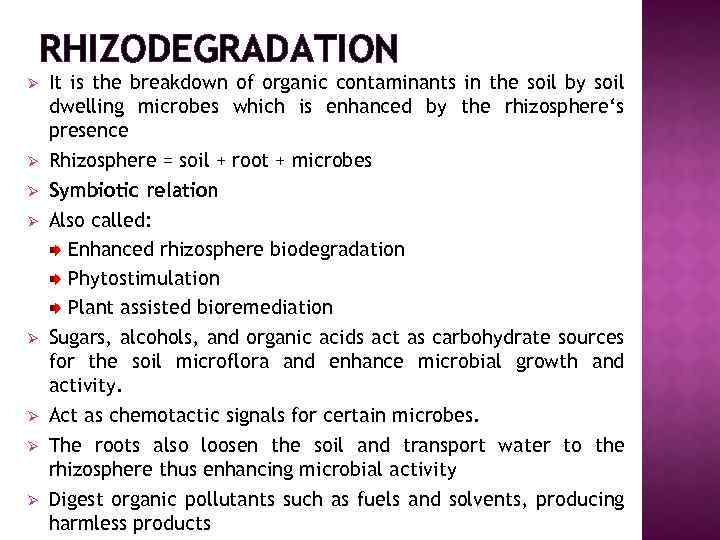 RHIZODEGRADATION Ø Ø Ø Ø It is the breakdown of organic contaminants in the