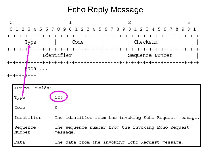 Echo Reply Message 