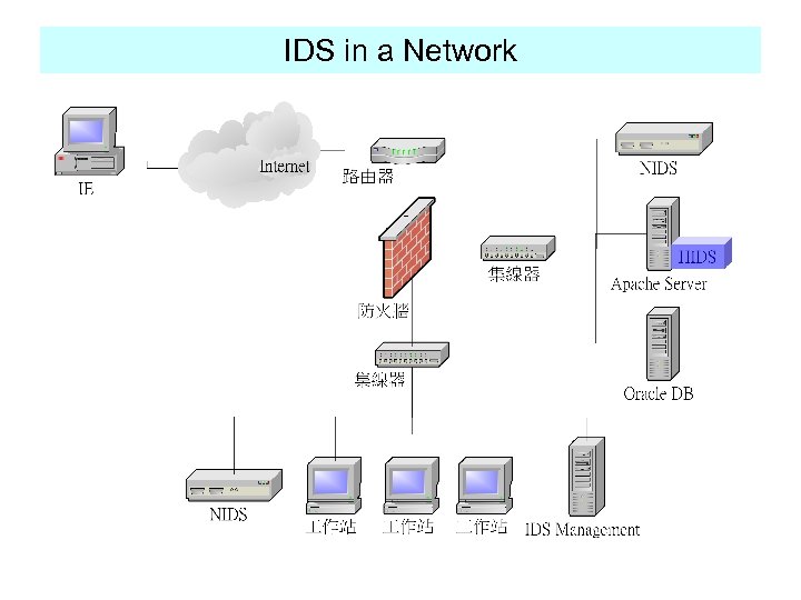 IDS in a Network 