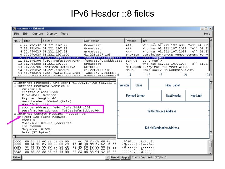 IPv 6 Header : : 8 fields 