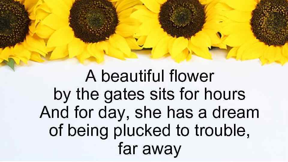 A beautiful flower by the gates sits for hours And for day, she has