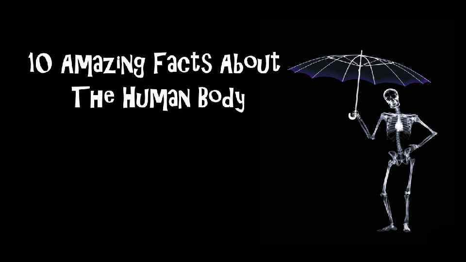 next weeks topic 10 Amazing Facts About The Human Body 