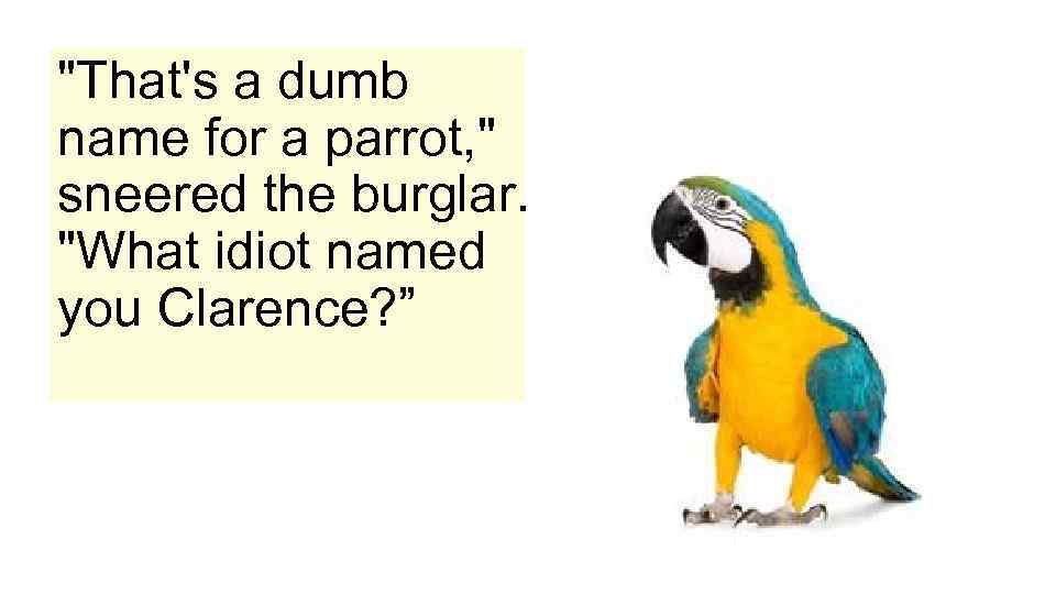 "That's a dumb name for a parrot, " sneered the burglar. "What idiot named