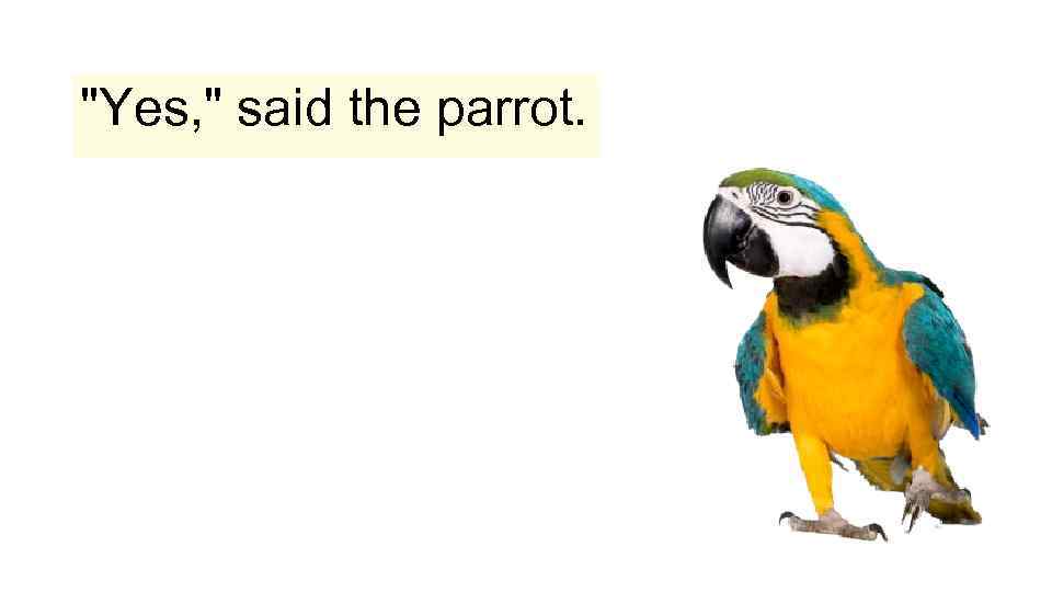 "Yes, " said the parrot. 