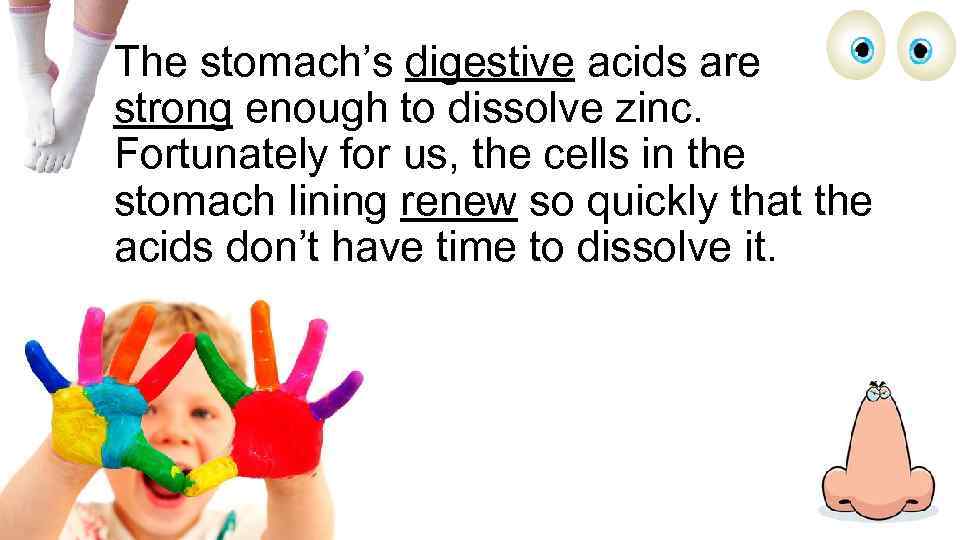 The stomach’s digestive acids are strong enough to dissolve zinc. Fortunately for us, the