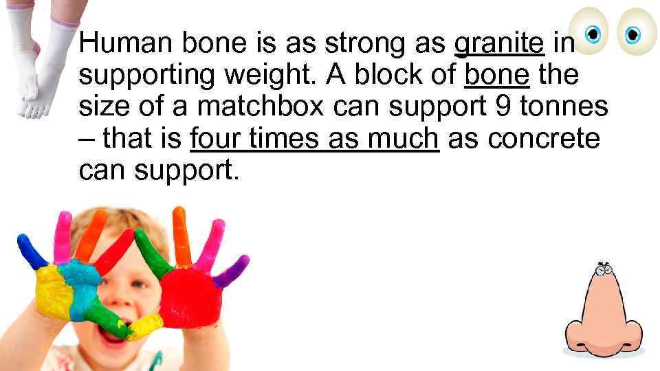 Human bone is as strong as granite in supporting weight. A block of bone