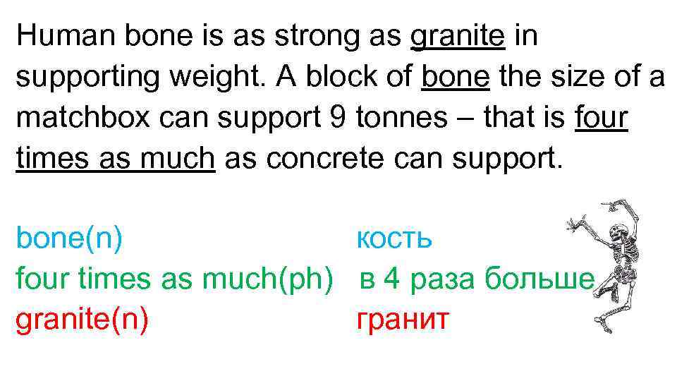 Human bone is as strong as granite in supporting weight. A block of bone
