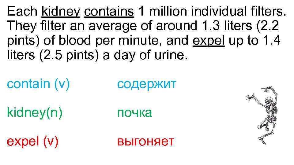 Each kidney contains 1 million individual filters. They filter an average of around 1.
