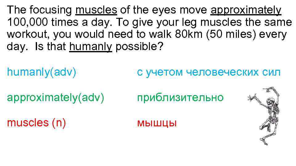The focusing muscles of the eyes move approximately 100, 000 times a day. To