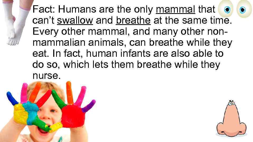 Fact: Humans are the only mammal that can’t swallow and breathe at the same