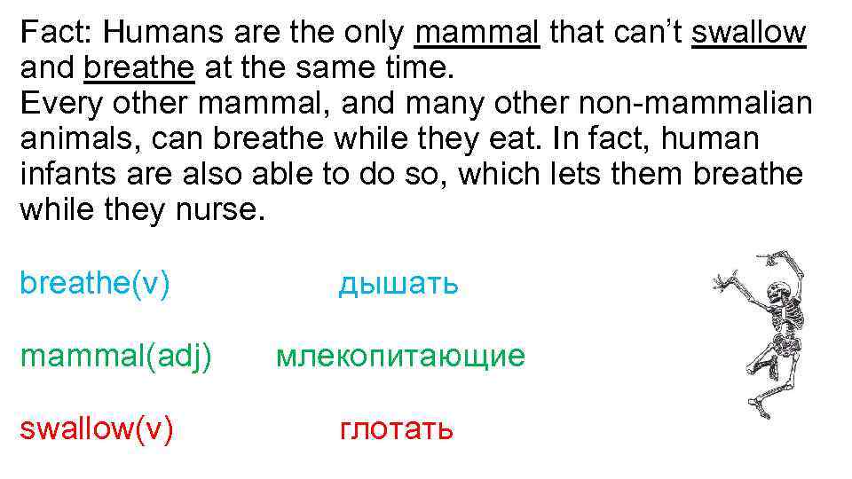 Fact: Humans are the only mammal that can’t swallow and breathe at the same