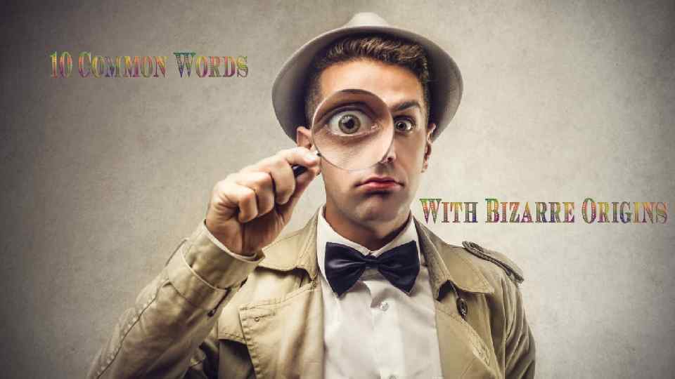 next weeks topic 10 Common Words With Bizarre Origins 