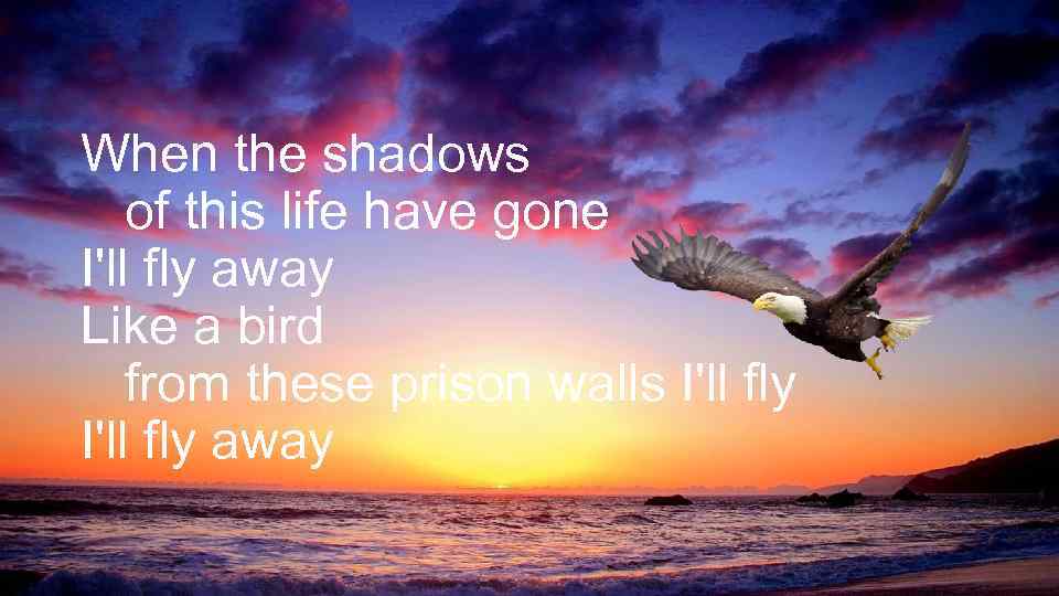 When the shadows of this life have gone I'll fly away Like a bird