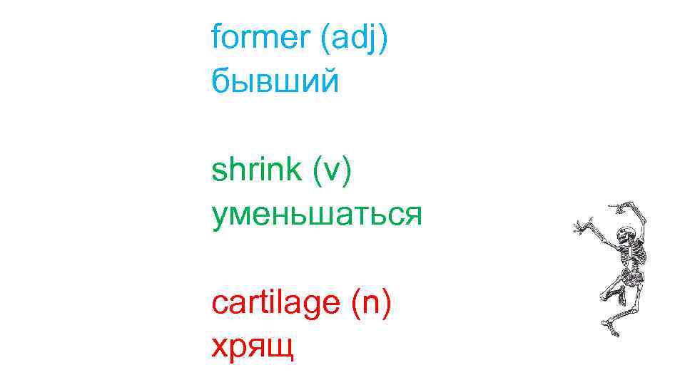 former (adj) бывший shrink (v) уменьшаться cartilage (n) хрящ 