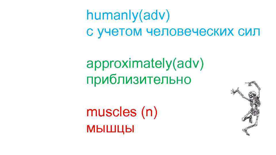 humanly(adv) с учетом человеческих сил approximately(adv) приблизительно muscles (n) мышцы 