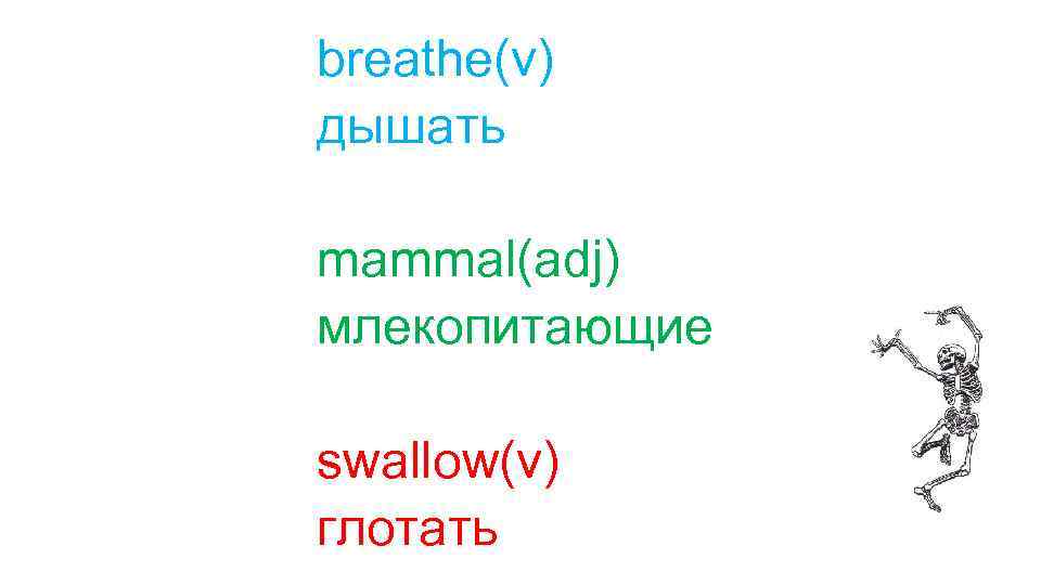 breathe(v) дышать mammal(adj) млекопитающие swallow(v) глотать 