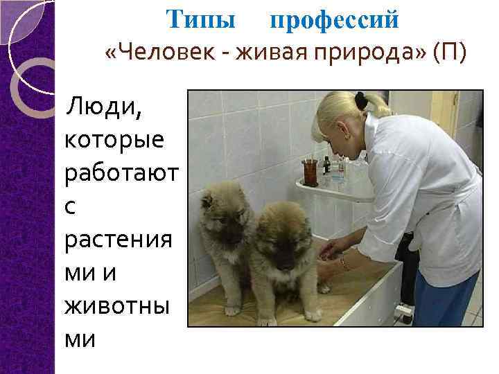 Типы профессий «Человек - живая природа» (П) Люди, которые работают с растения ми и