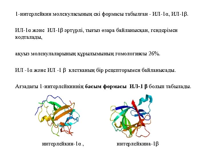 1 -интерлейкин молекуласының екі формасы табылған - ИЛ-1α, ИЛ-1β. ИЛ-1α және ИЛ-1β әртүрлі, тығыз