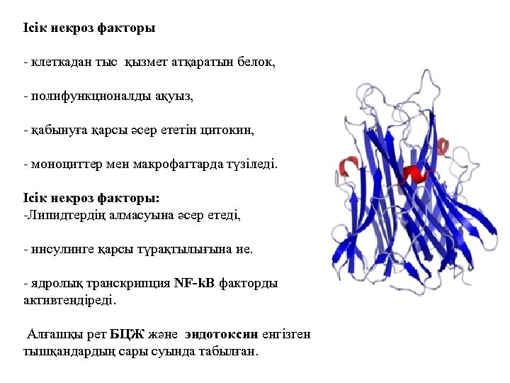 Ісік некроз факторы - клеткадан тыс қызмет атқаратын белок, - полифункционалды ақуыз, - қабынуға