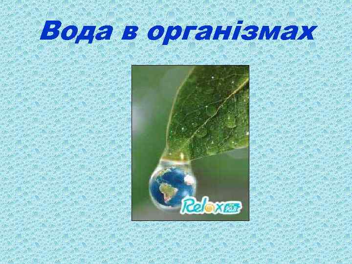 Вода в організмах 