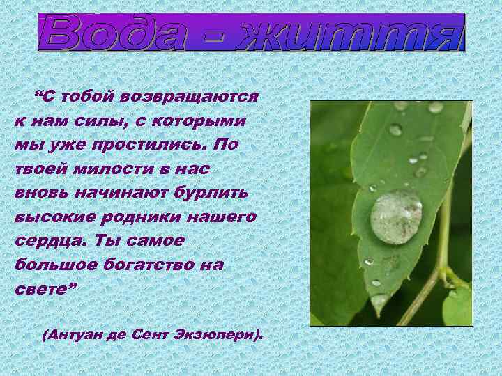 “С тобой возвращаются к нам силы, с которыми мы уже простились. По твоей милости