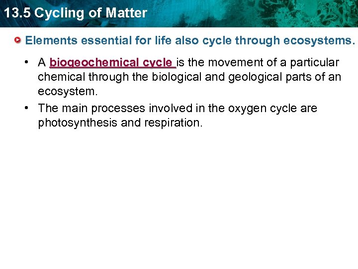 13. 5 Cycling of Matter Elements essential for life also cycle through ecosystems. •