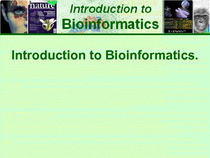 Introduction to Bioinformatics. 