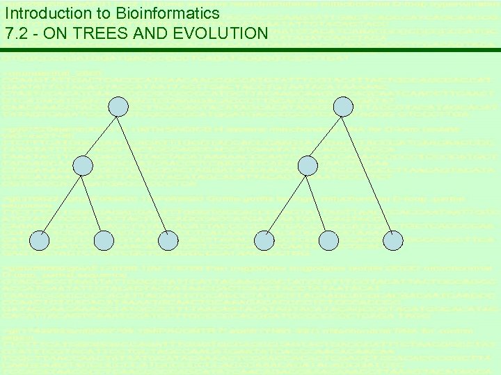 Introduction to Bioinformatics 7. 2 - ON TREES AND EVOLUTION 
