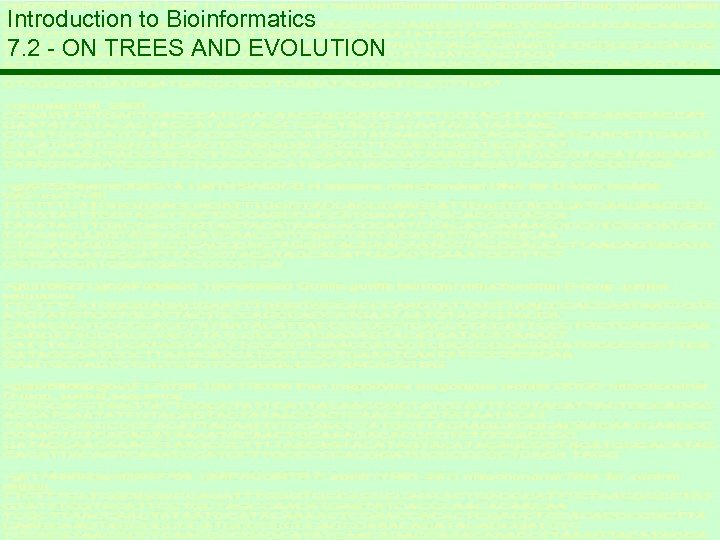 Introduction to Bioinformatics 7. 2 - ON TREES AND EVOLUTION 