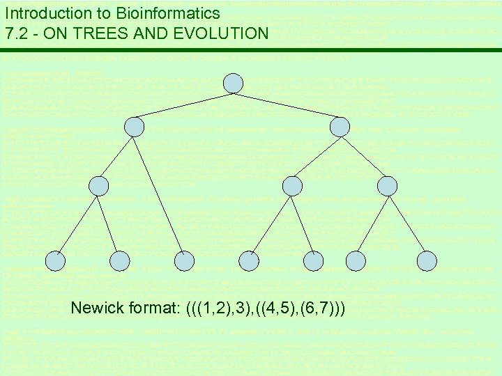 Introduction to Bioinformatics 7. 2 - ON TREES AND EVOLUTION Newick format: (((1, 2),