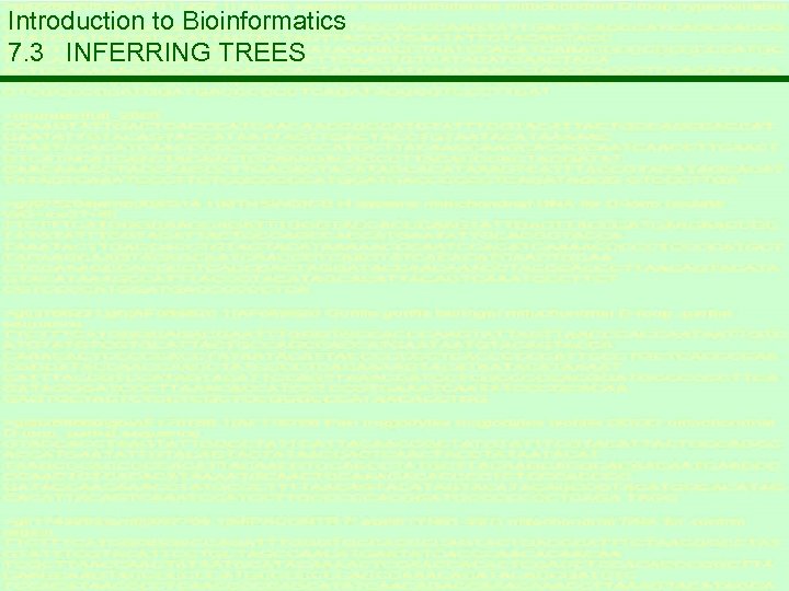 Introduction to Bioinformatics 7. 3 INFERRING TREES 