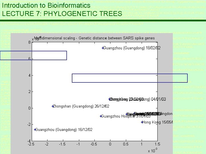 Introduction to Bioinformatics LECTURE 7: PHYLOGENETIC TREES 