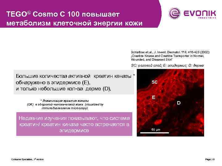 TEGO® Cosmo C 100 повышает метаболизм клеточной энергии кожи Schlattner et al. , J.