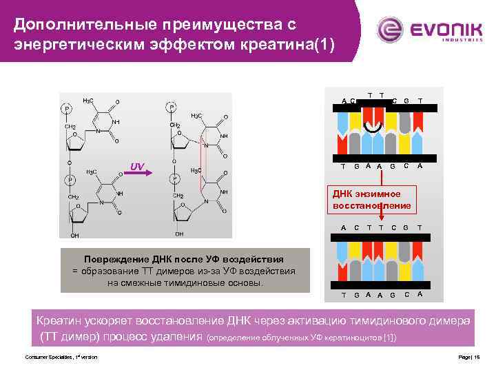 Дополнительные преимущества с энергетическим эффектом креатина(1) A C UV T T T G A