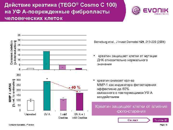 Действие креатина (TEGO® Cosmo C 100) на УФ А-поврежденные фибропласты человеческих клеток Berneburg et