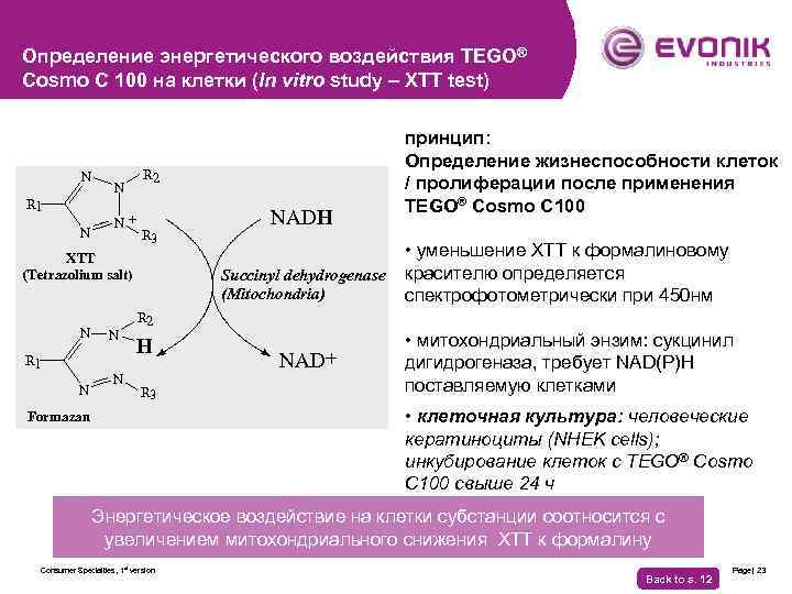 Определение энергетического воздействия TEGO® Cosmo C 100 на клетки (In vitro study – XTT