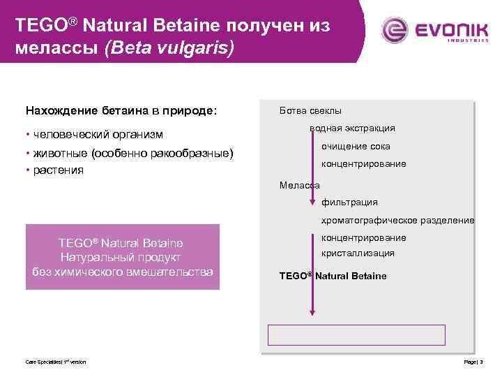 TEGO® Natural Betaine получен из мелассы (Beta vulgaris) Нахождение бетаина в природе: • человеческий