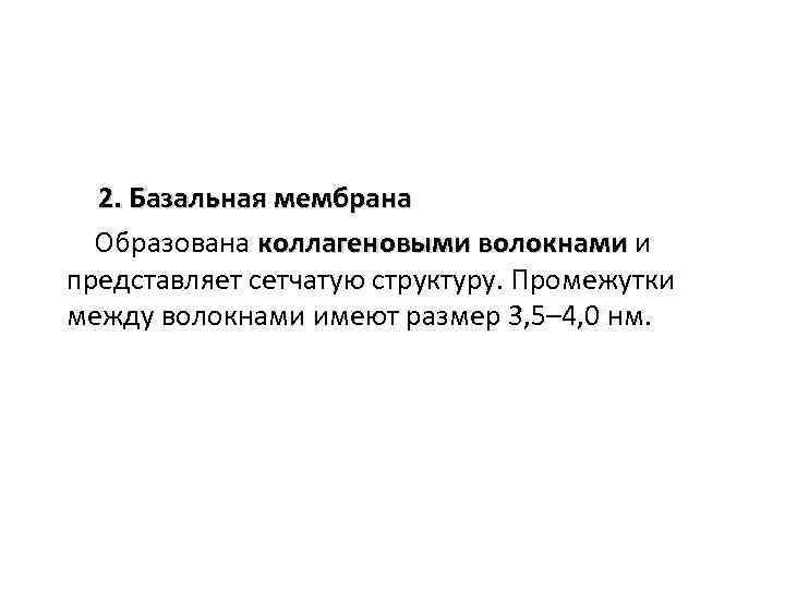 2. Базальная мембрана Образована коллагеновыми волокнами и представляет сетчатую структуру. Промежутки между волокнами имеют