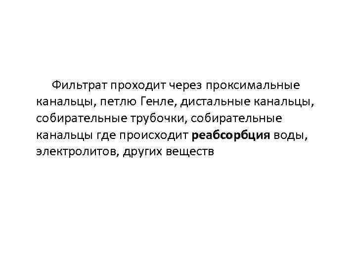 Фильтрат проходит через проксимальные канальцы, петлю Генле, дистальные канальцы, собирательные трубочки, собирательные канальцы где