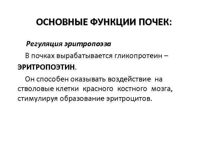 ОСНОВНЫЕ ФУНКЦИИ ПОЧЕК: Регуляция эритропоэза В почках вырабатывается гликопротеин – ЭРИТРОПОЭТИН. Он способен оказывать