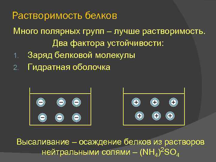 Растворимость белков Много полярных групп – лучше растворимость. Два фактора устойчивости: 1. Заряд белковой