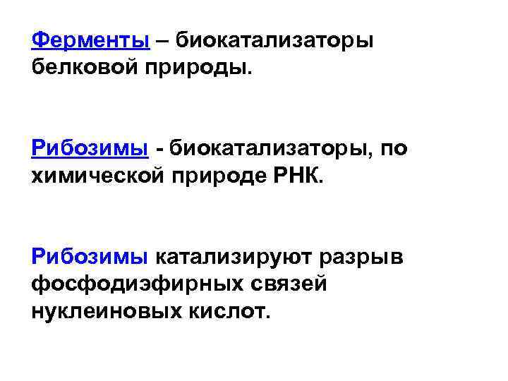 Ферменты – биокатализаторы белковой природы. Рибозимы - биокатализаторы, по химической природе РНК. Рибозимы катализируют
